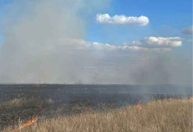 Хээрийн 4 түймрийг унтраах ажиллагааг зохион байгуулж байна